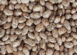 Beans 1kg
